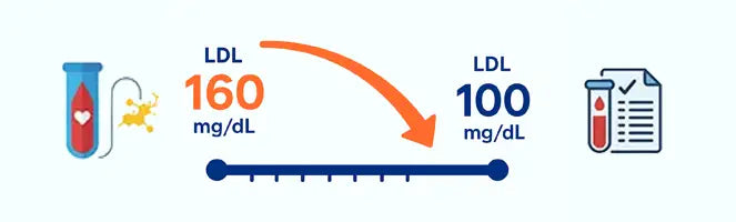 Visual progress tracker showing 90-day journey